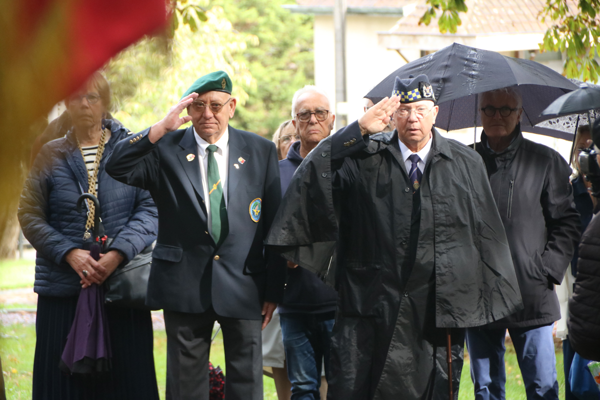 Image de la nouvelle