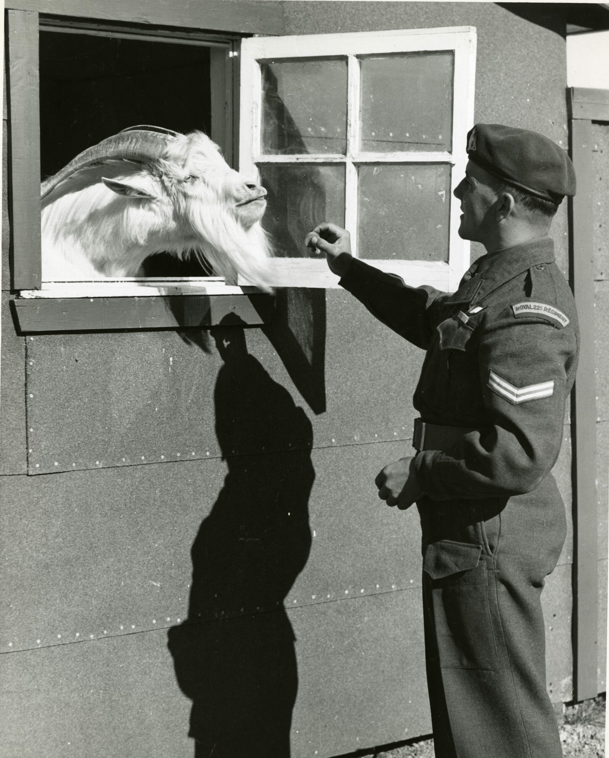 Image de la nouvelle