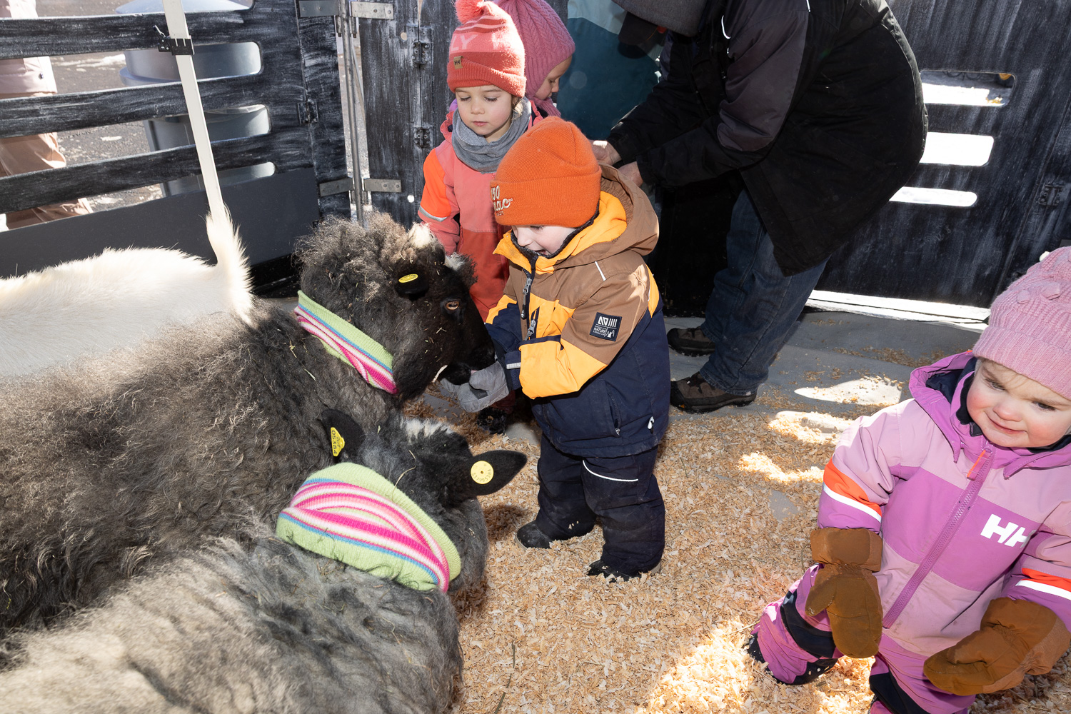 Image de la nouvelle